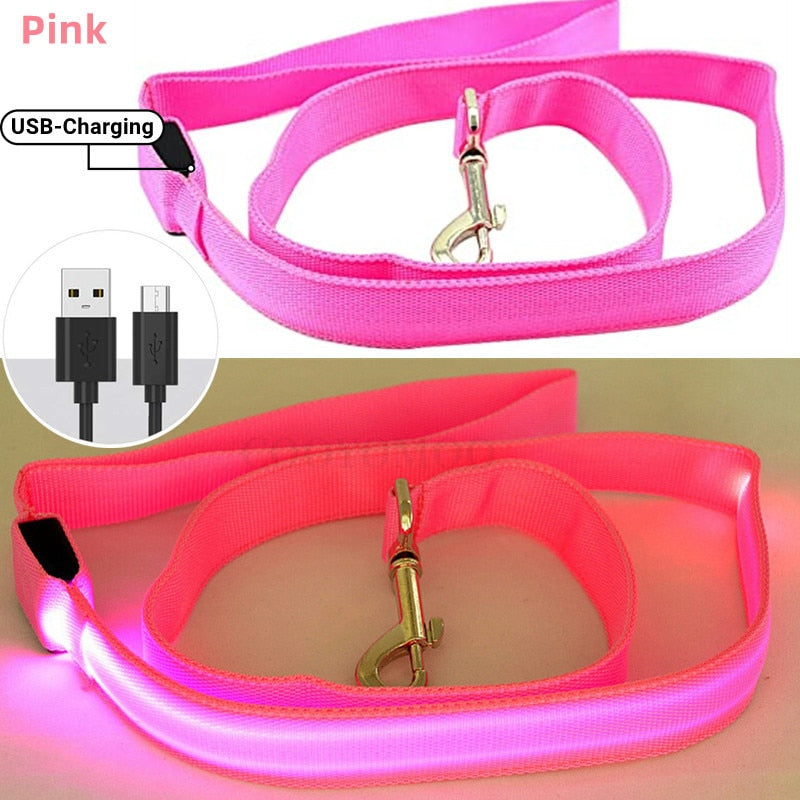 Glowing Led Dog Leash Usb Rechargeable Pet Dog Flashing Nylon Webbing Leashes- 3 Lighting Modes Keep Your Pets Safe In Darkness