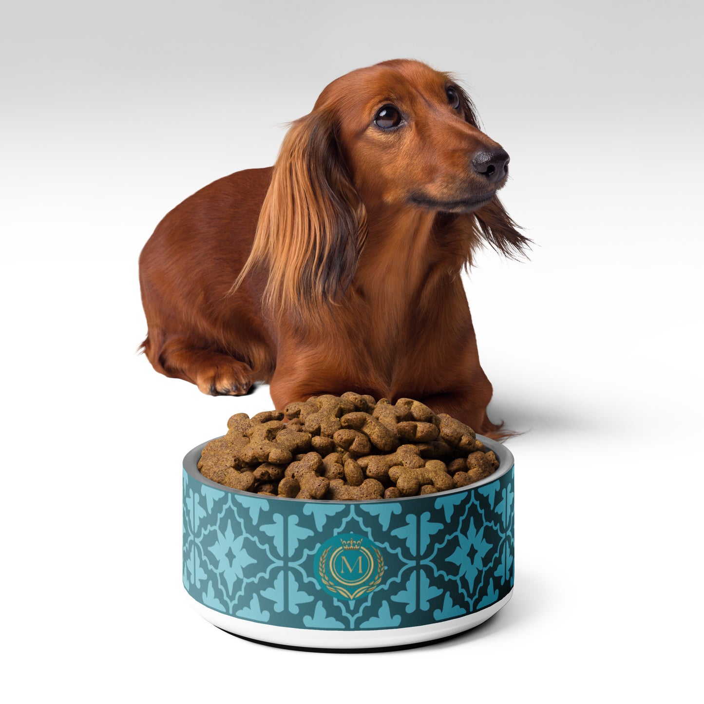 Turquoise Pet bowl