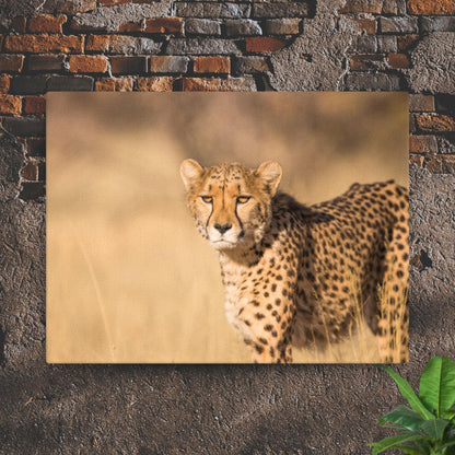 Cheetah Thin canvas